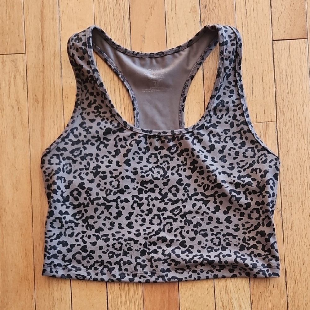 Evolution and Creation Gray Leopard Sports Top